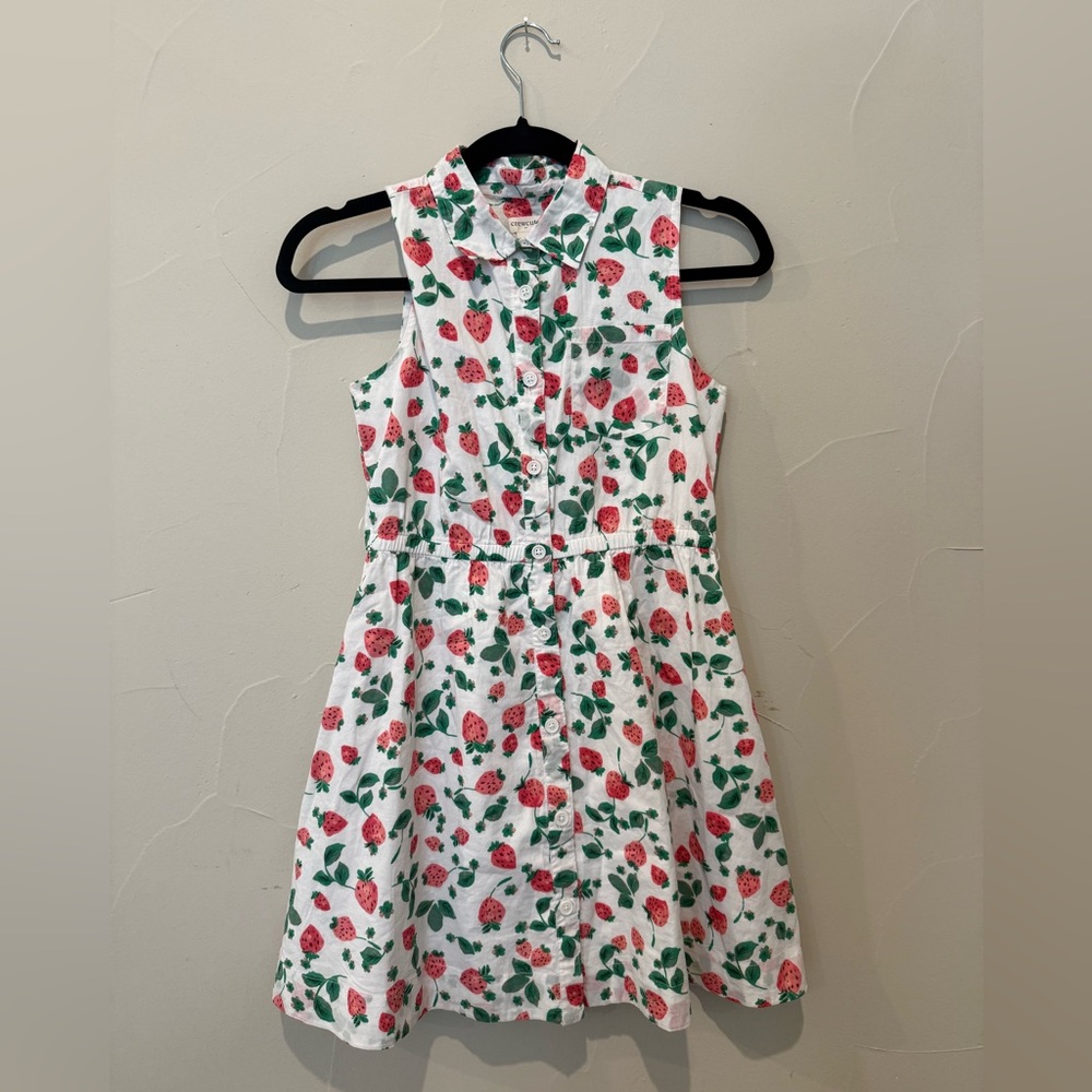 J-Crew Girls Strawberry Dress size 10!